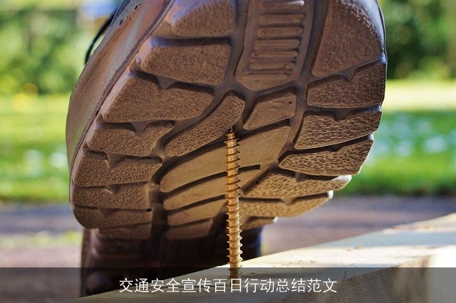 交通安全宣传百日行动总结范文