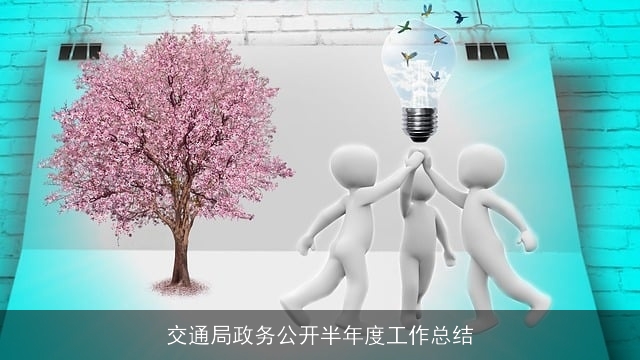 交通局政务公开半年度工作总结
