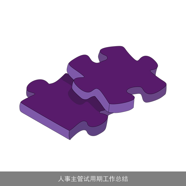 人事主管试用期工作总结