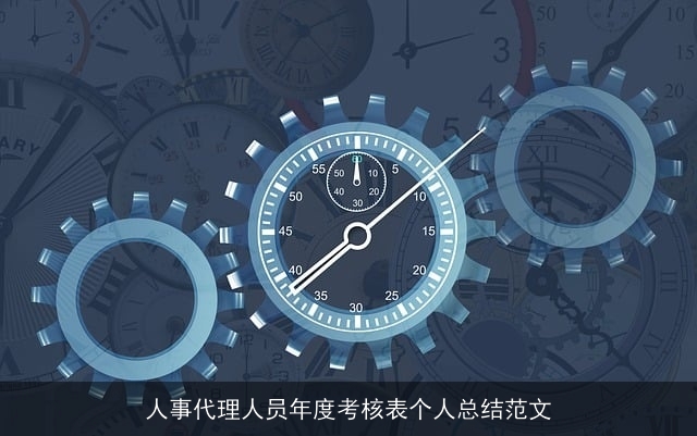 人事代理人员年度考核表个人总结范文