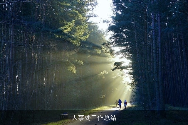 人事处工作总结
