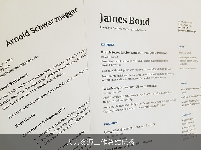 人力资源工作总结优秀