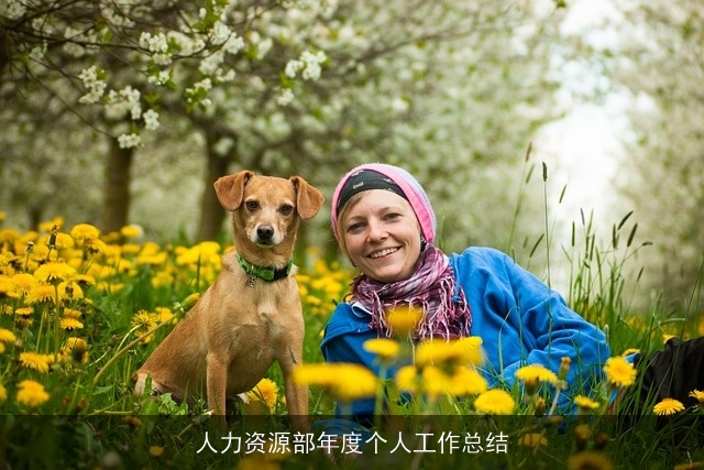 人力资源部年度个人工作总结