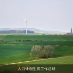 人口计划生育工作总结