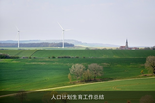 人口计划生育工作总结