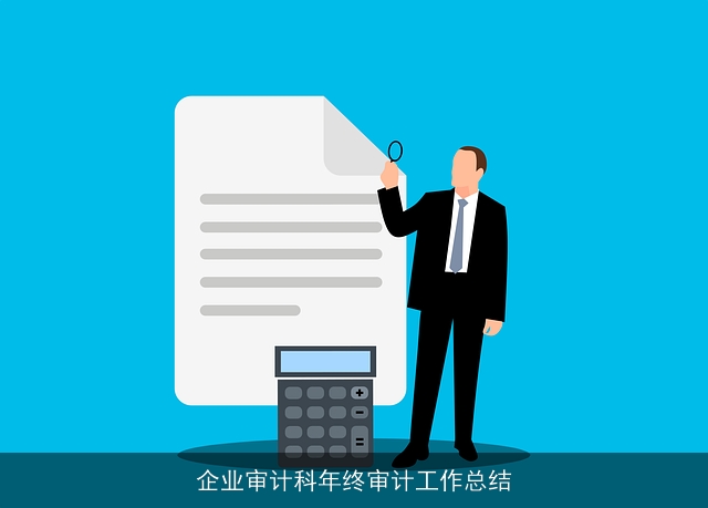 企业审计科年终审计工作总结