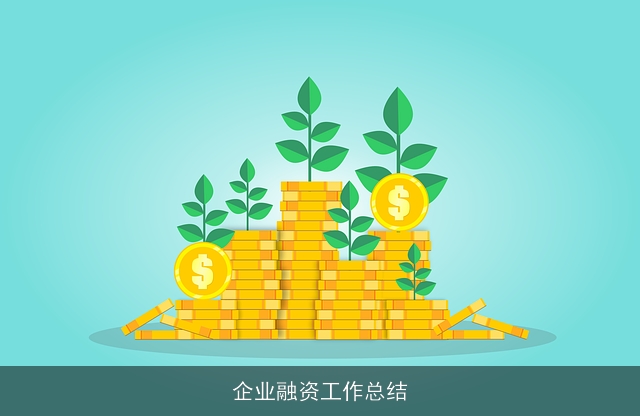 企业融资工作总结
