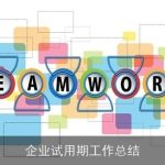 企业试用期工作总结