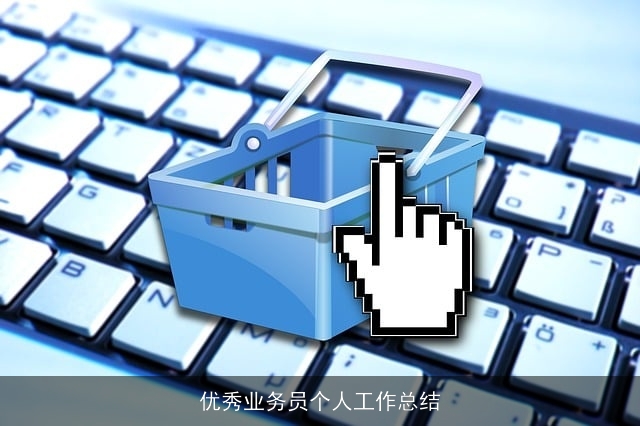 优秀业务员个人工作总结