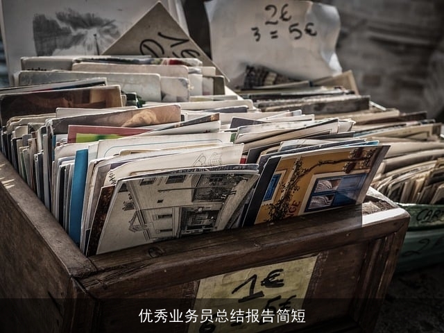 优秀业务员总结报告简短