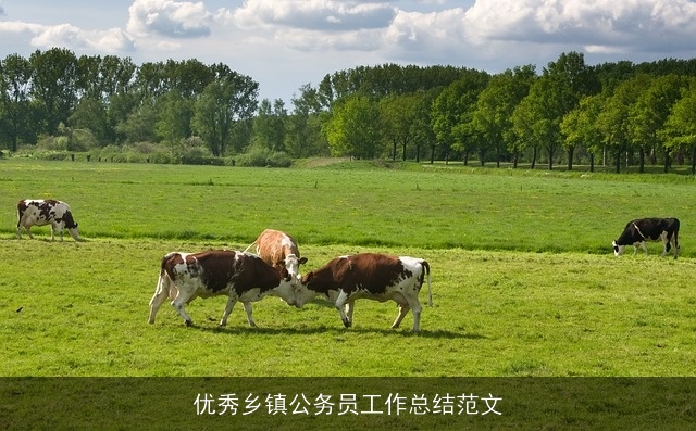 优秀乡镇公务员工作总结范文