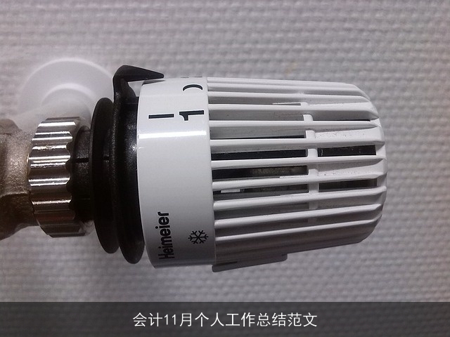 会计11月个人工作总结范文