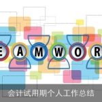 会计试用期个人工作总结