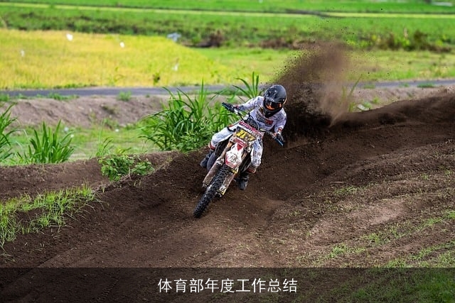体育部年度工作总结
