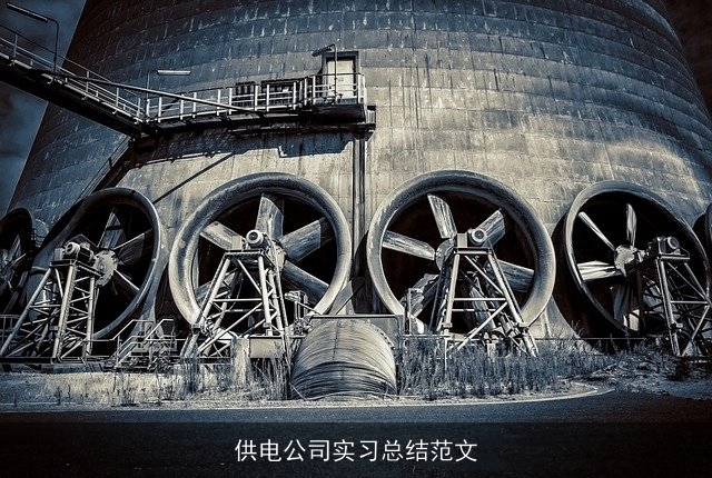 供电公司实习总结范文