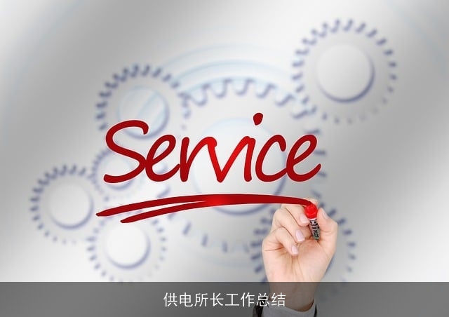 供电所长工作总结