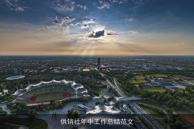 供销社年中工作总结范文