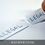 依法行政年度工作总结