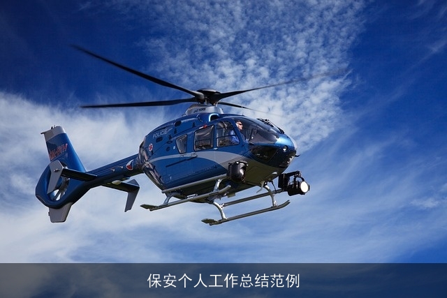 保安个人工作总结范例