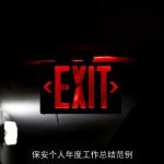 保安个人年度工作总结范例