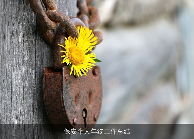 保安个人年终工作总结