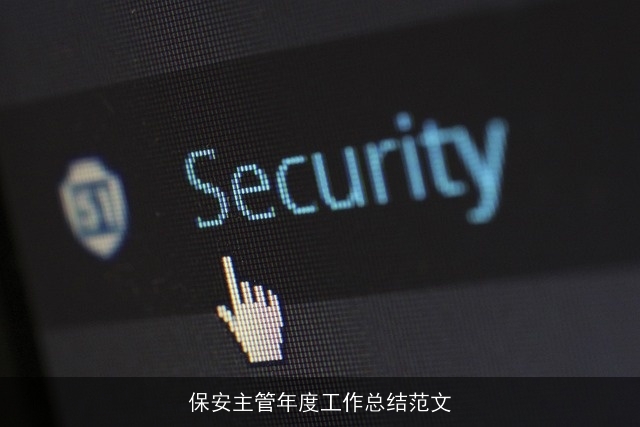 保安主管年度工作总结范文