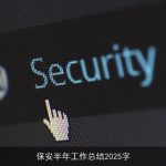 保安半年工作总结2025字