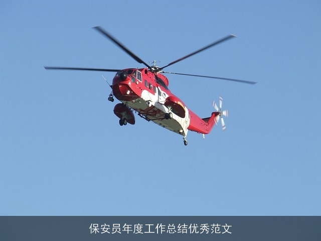 保安员年度工作总结优秀范文