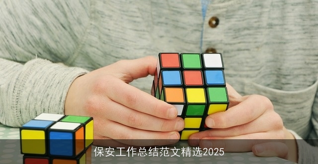 保安工作总结范文精选2025