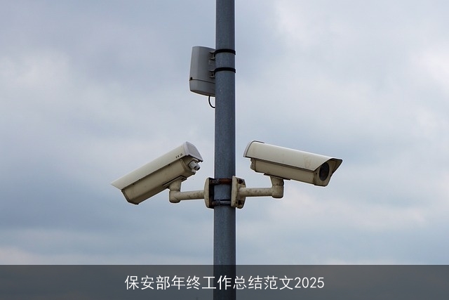 保安部年终工作总结范文2025