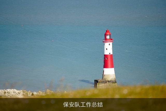 保安队工作总结