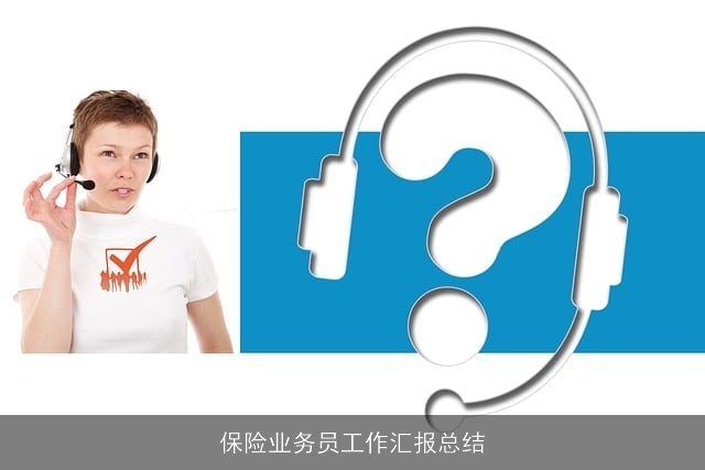 保险业务员工作汇报总结