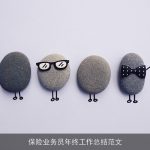保险业务员年终工作总结范文