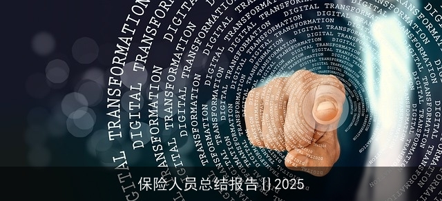 保险人员总结报告{}2025