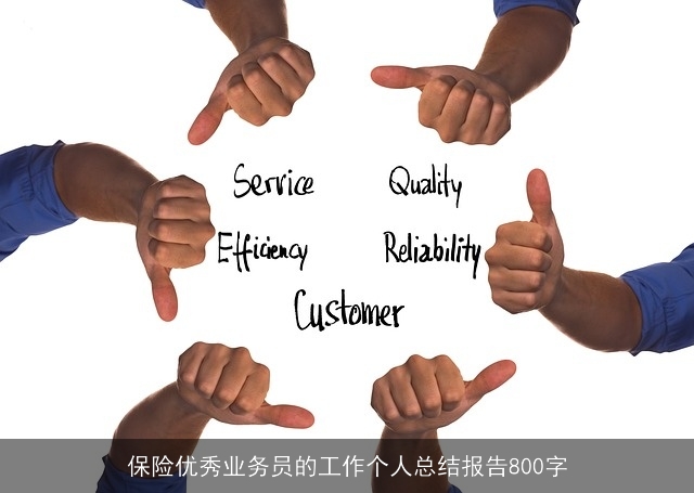 保险优秀业务员的工作个人总结报告800字