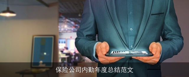 保险公司内勤年度总结范文