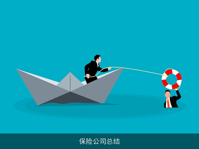 保险公司总结