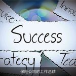 保险公司的工作总结