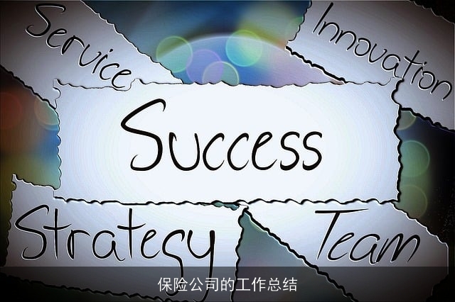 保险公司的工作总结