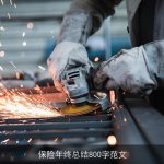 保险年终总结800字范文