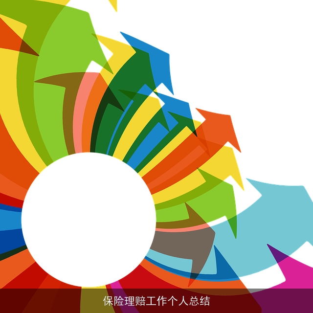 保险理赔工作个人总结