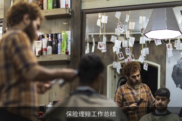 保险理赔工作总结