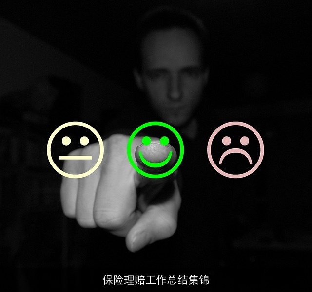保险理赔工作总结集锦