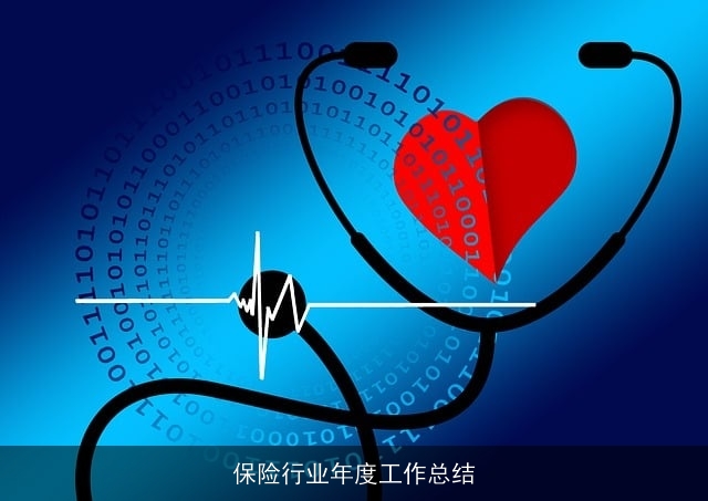 保险行业年度工作总结
