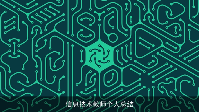 信息技术教师个人总结