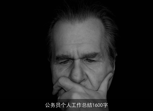 公务员个人工作总结1600字