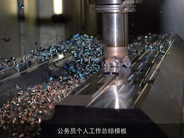 公务员个人工作总结模板