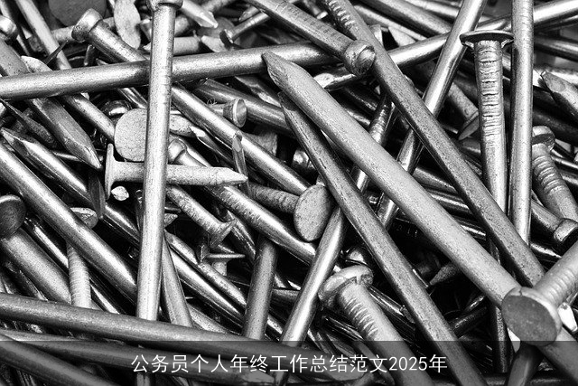 公务员个人年终工作总结范文2025年