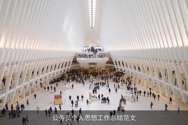 公务员个人思想工作总结范文