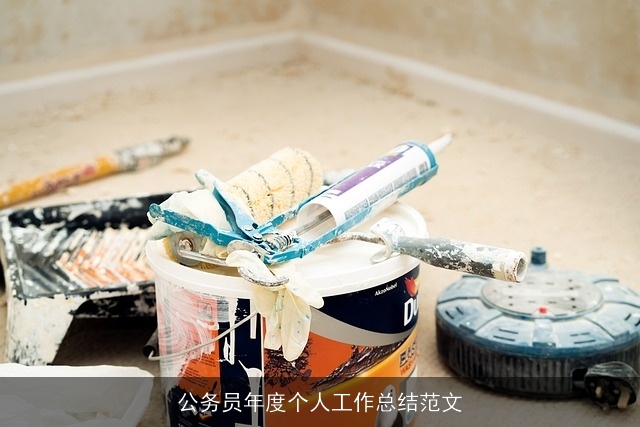 公务员年度个人工作总结范文